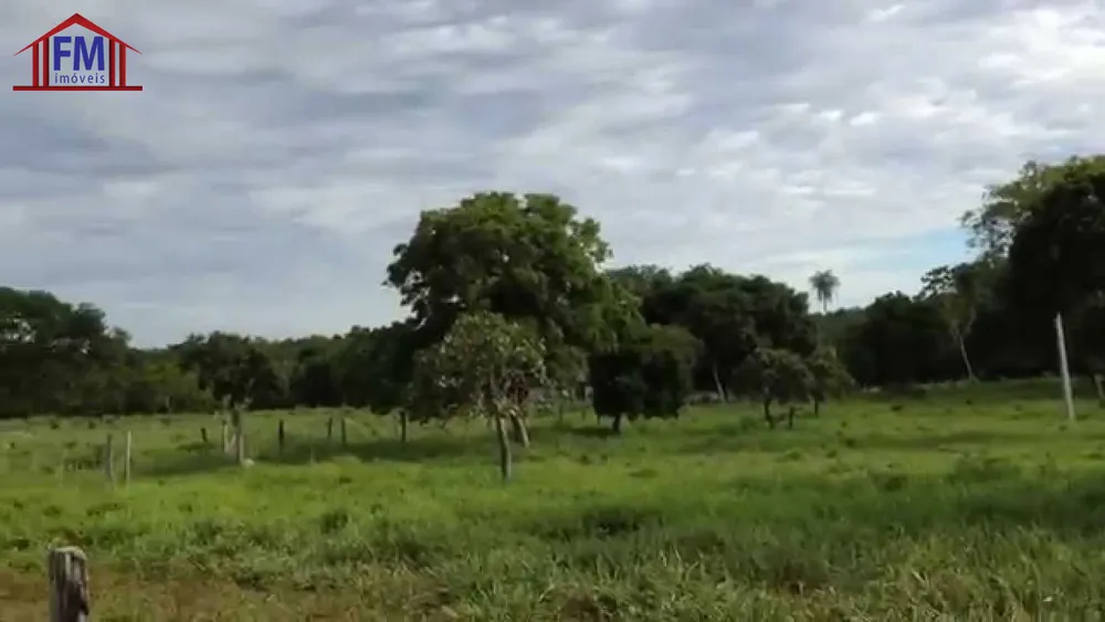 Fazenda - Foto 3