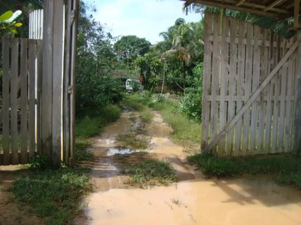 Fazenda à venda - Foto 4