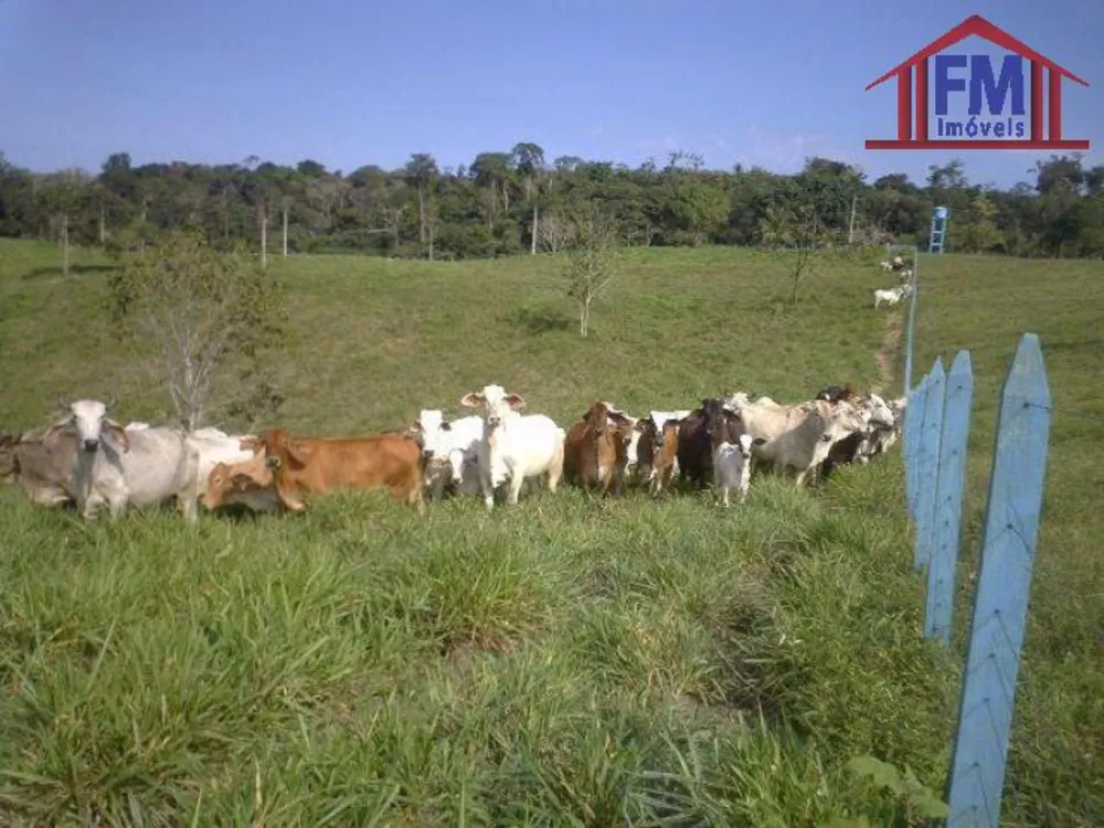 Fazenda à venda - Foto 2