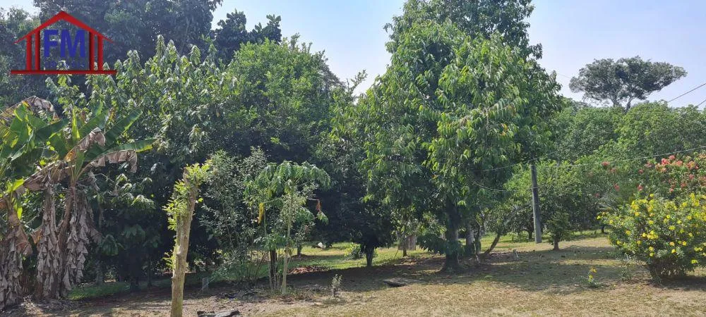 Sítio, 3 quartos, 301 m² - Foto 6