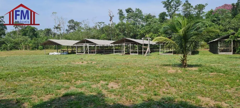 Sítio, 3 quartos, 301 m² - Foto 2