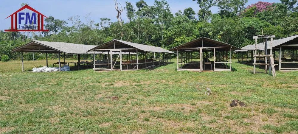 Sítio, 3 quartos, 301 m² - Foto 4