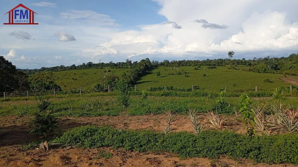 Fazenda - Foto 9