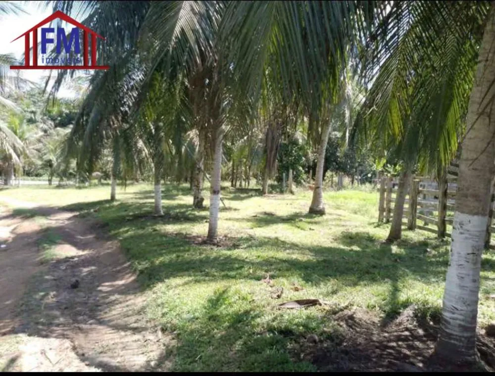 Fazenda - Foto 6