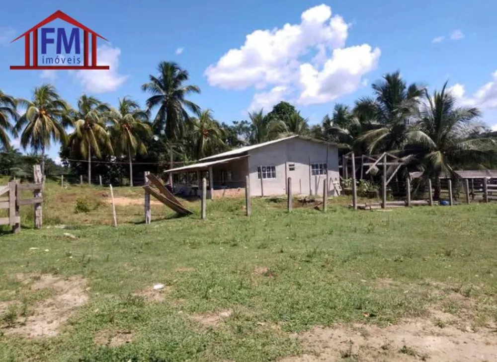 Fazenda - Foto 4