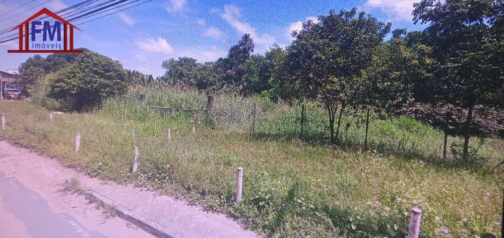 Terreno - Foto 4