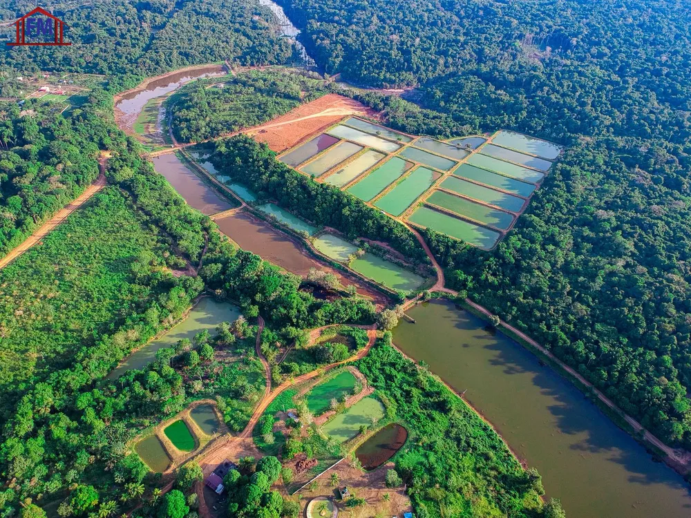 Fazenda - Foto 8