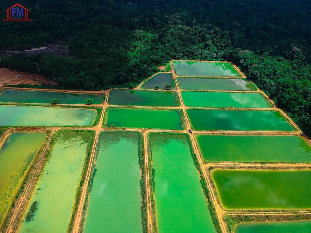 Fazenda - Foto 11