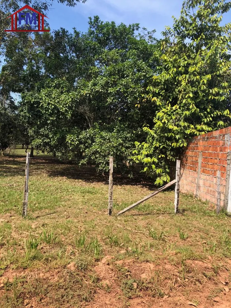 Sítio - Foto 8
