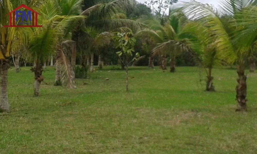 Fazenda, 3 quartos - Foto 7