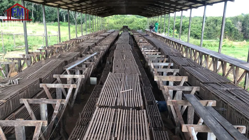 Fazenda - Foto 10