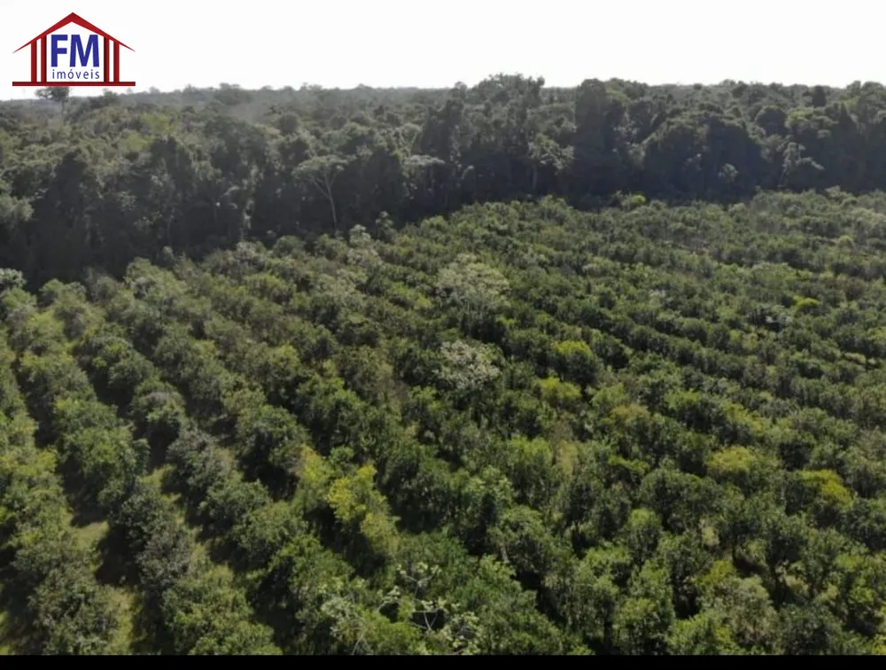 Fazenda - Foto 2