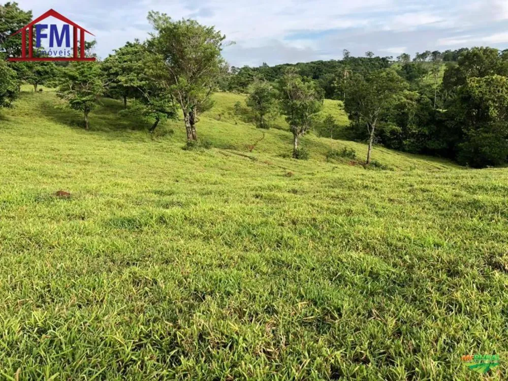 Fazenda - Foto 3