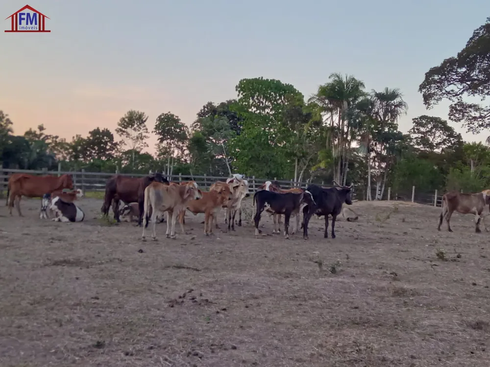 Fazenda - Foto 6