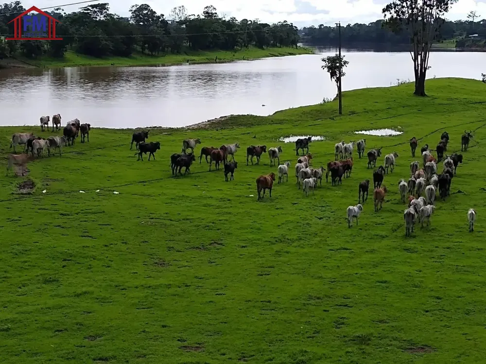 Fazenda - Foto 1