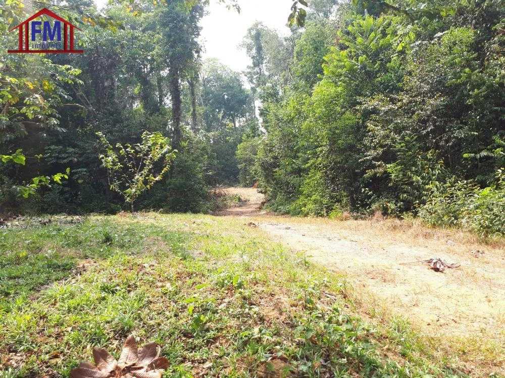 Fazenda - Foto 1