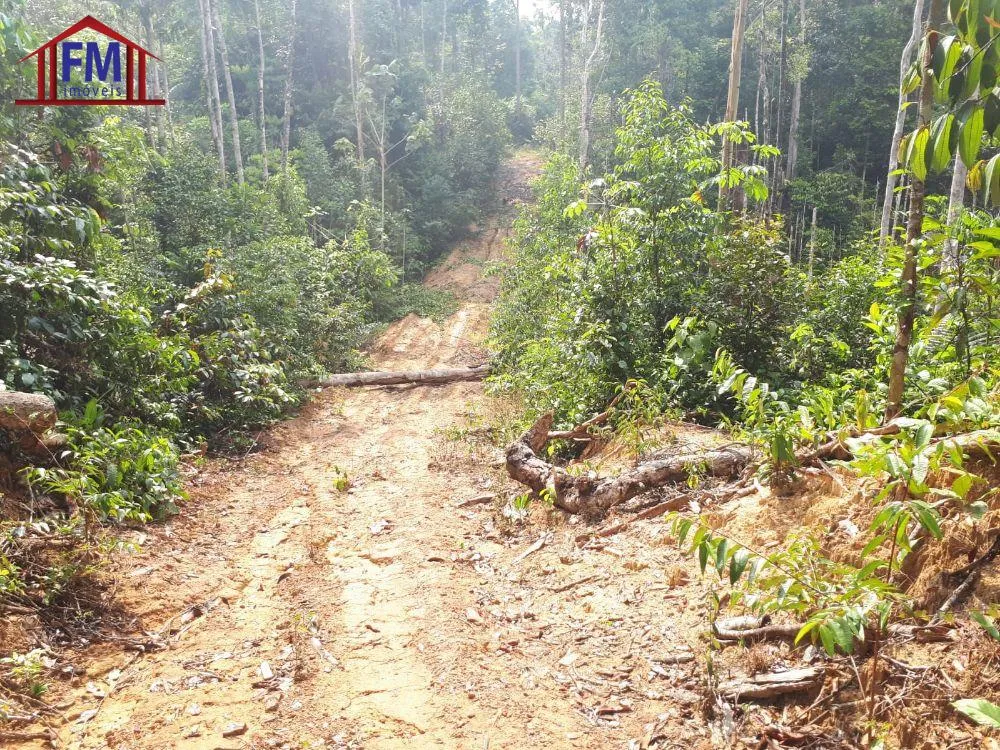 Fazenda - Foto 4
