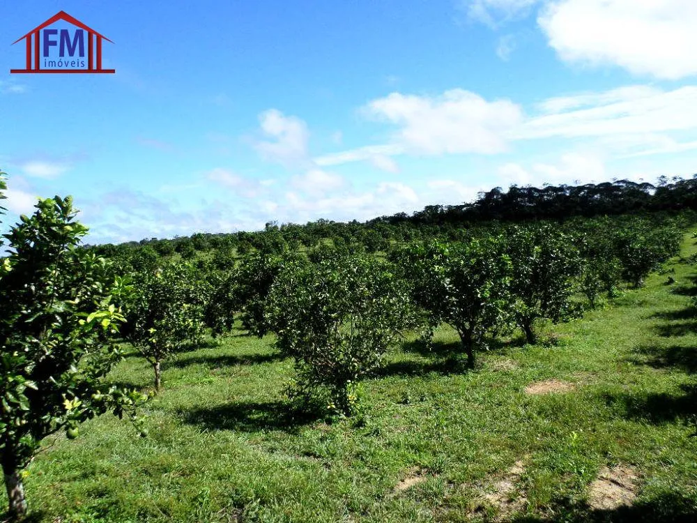 Fazenda - Foto 10