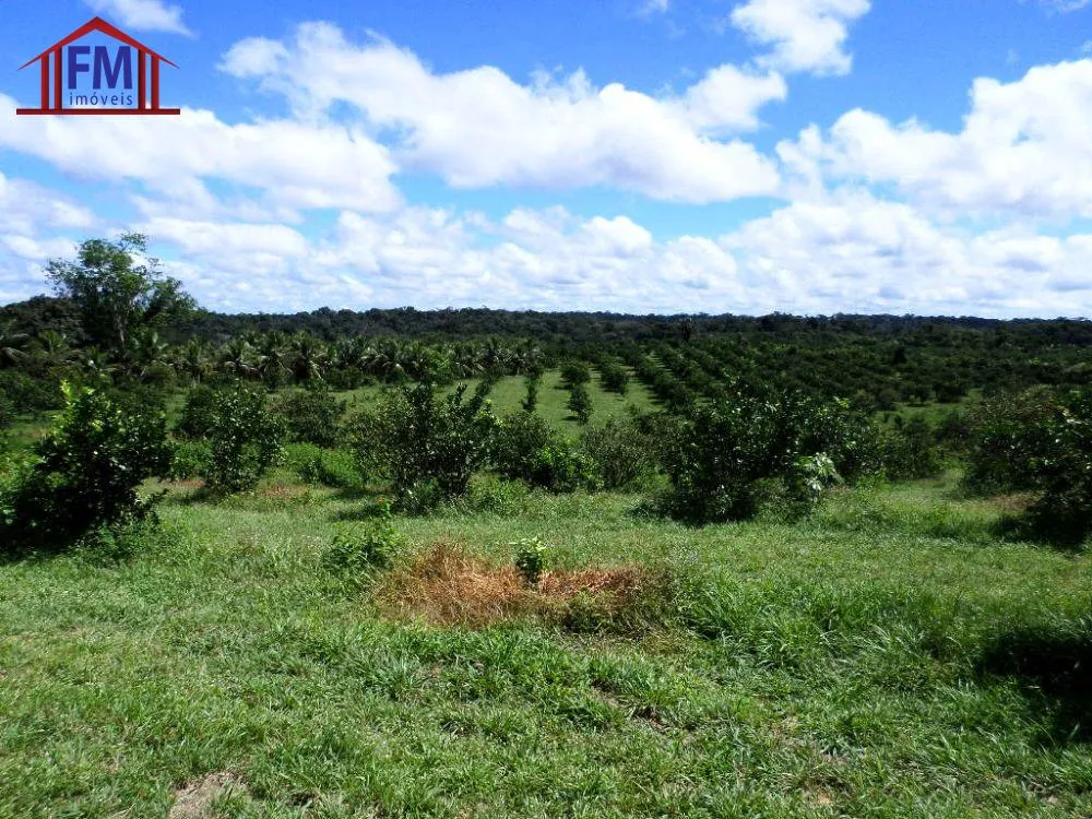 Fazenda - Foto 9