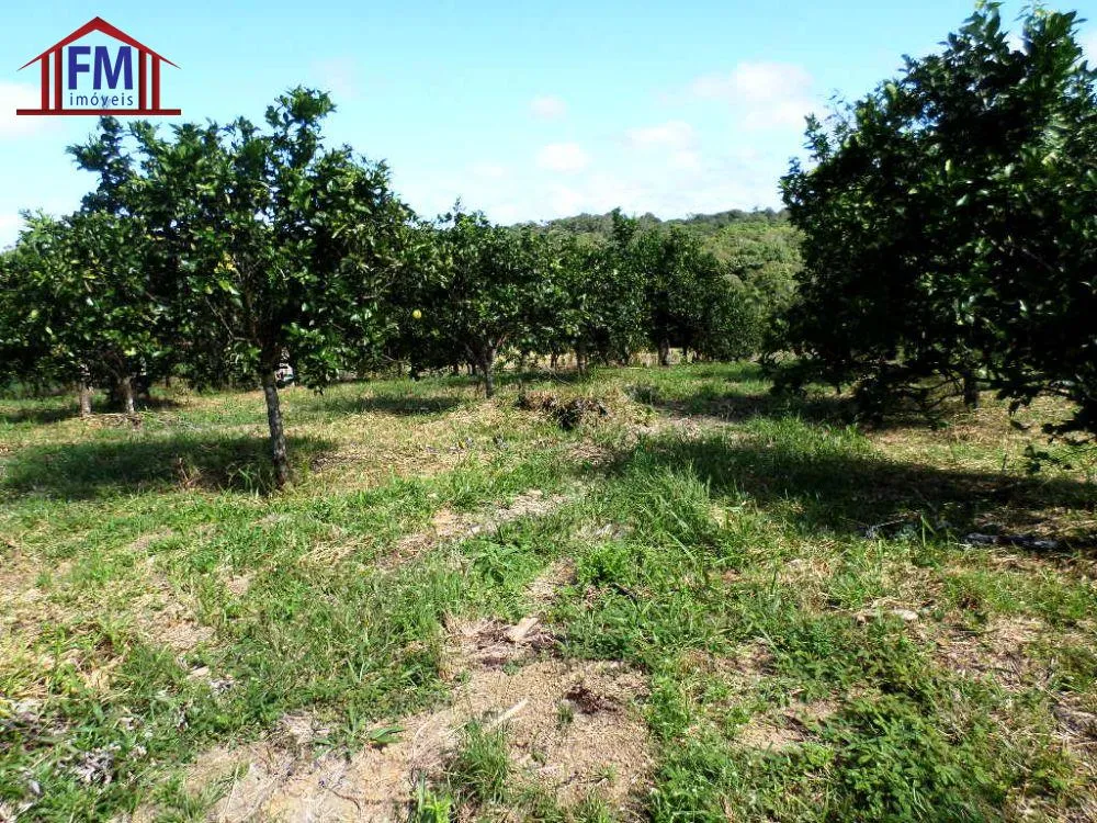 Fazenda - Foto 7