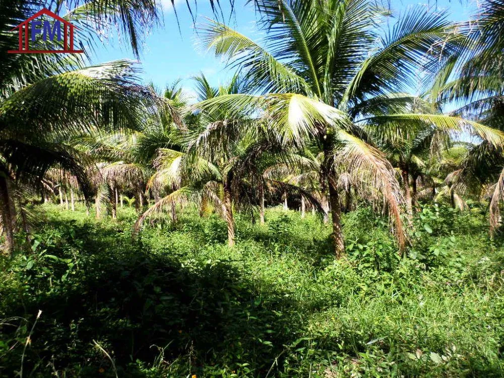 Fazenda - Foto 8