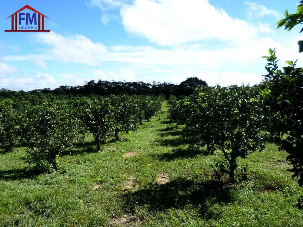 Fazenda - Foto 10