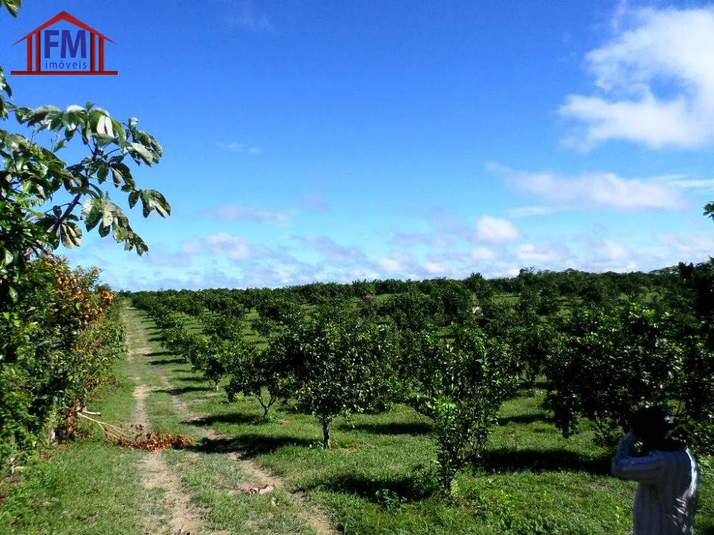 Fazenda - Foto 1