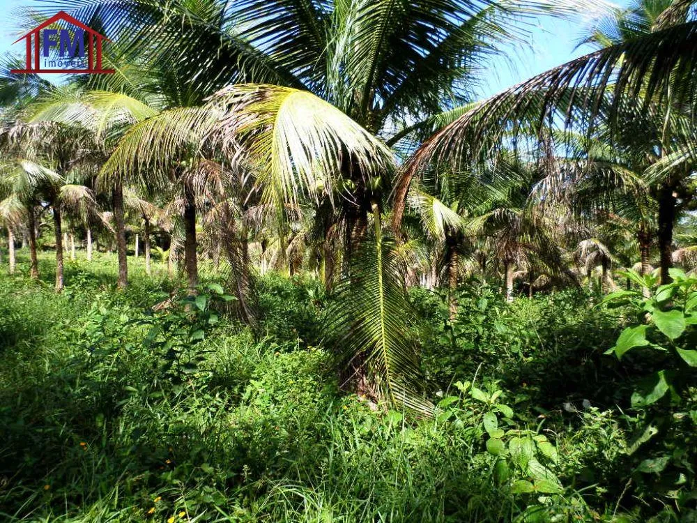 Fazenda - Foto 12