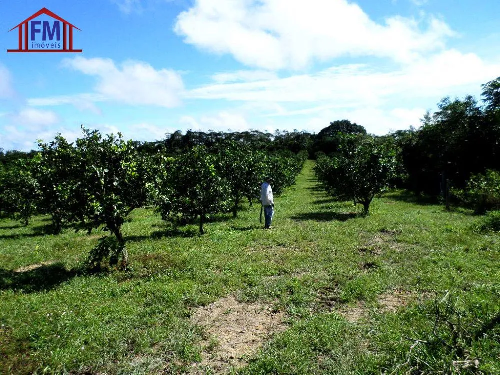 Fazenda - Foto 6