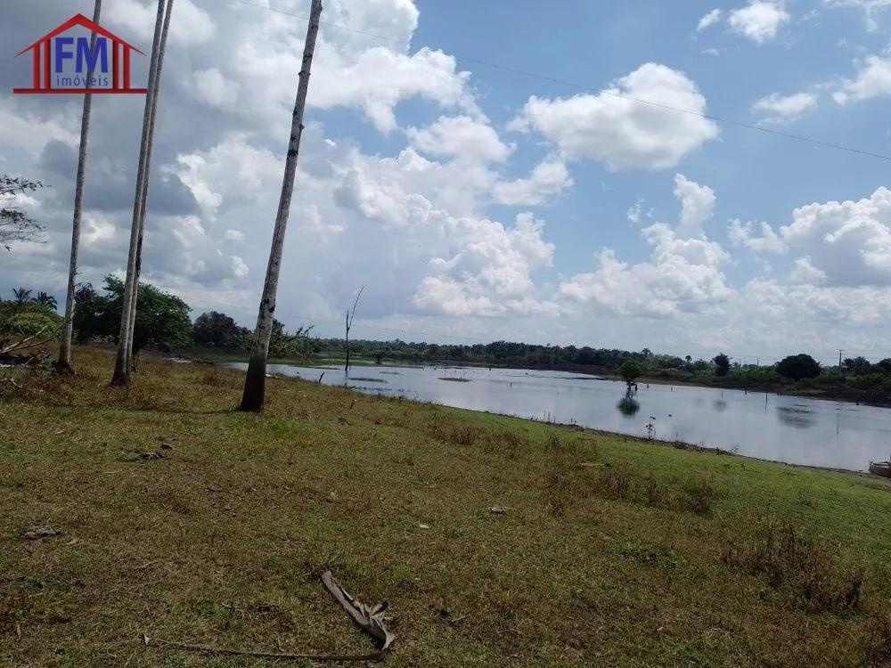 Fazenda - Foto 4