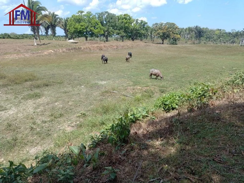 Fazenda - Foto 1