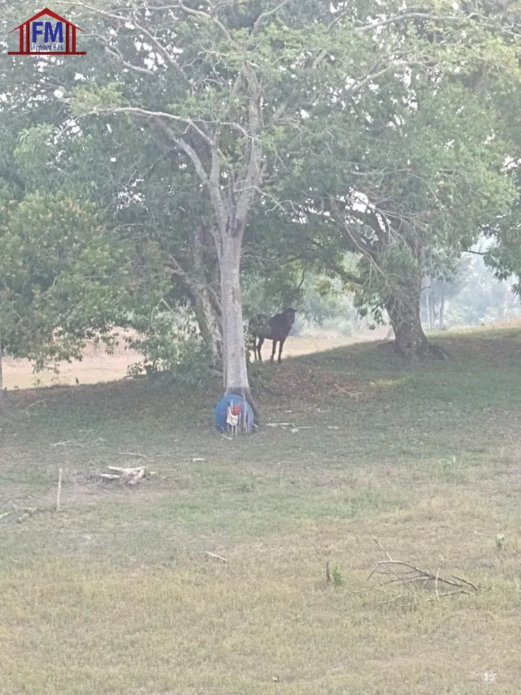 Fazenda - Foto 2