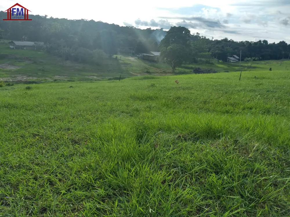 Fazenda - Foto 6
