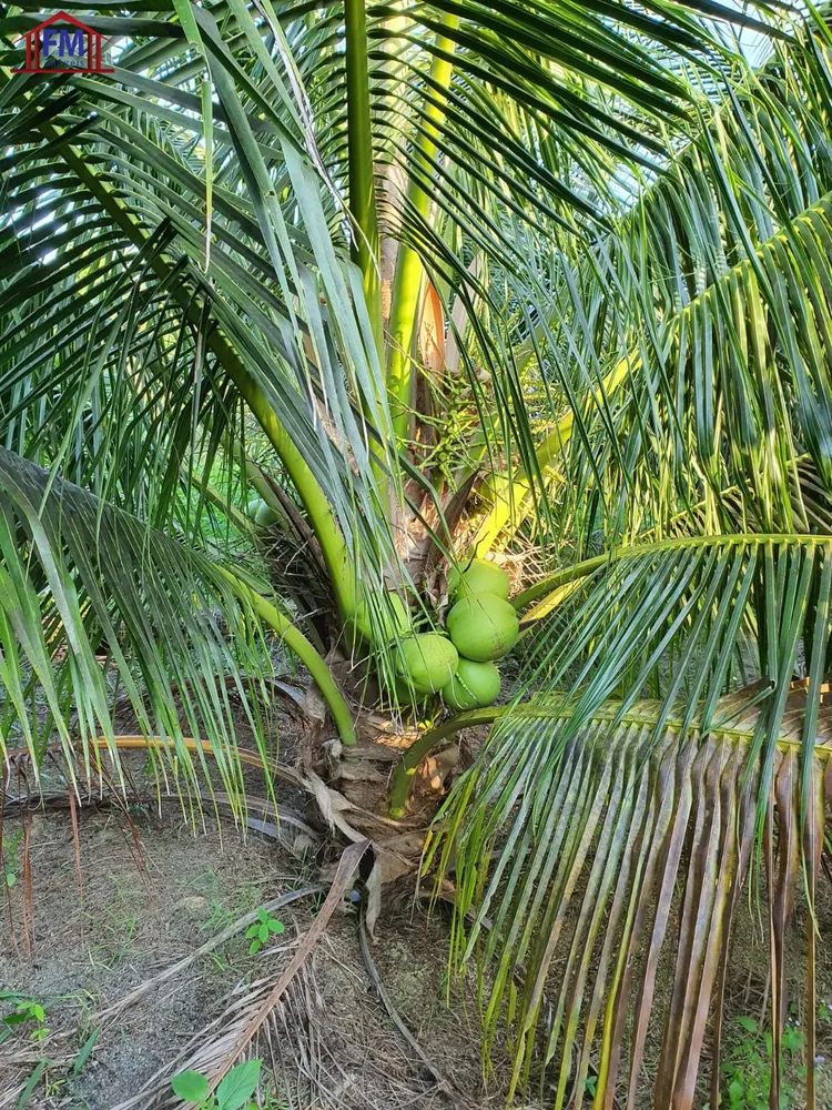 Fazenda - Foto 9