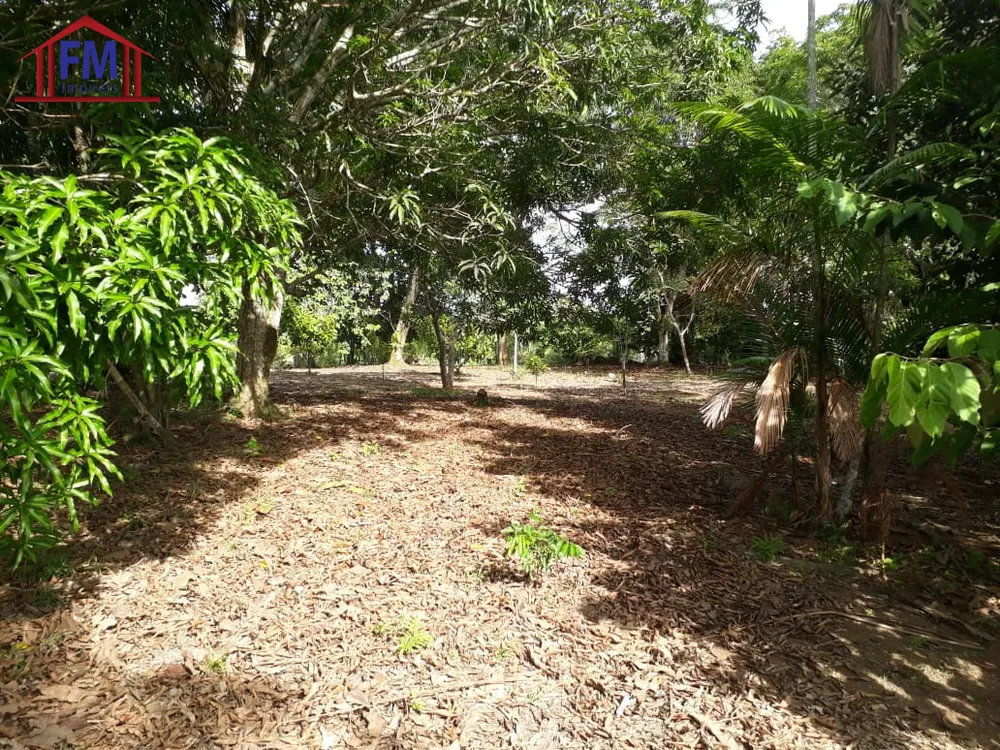 Fazenda - Foto 6