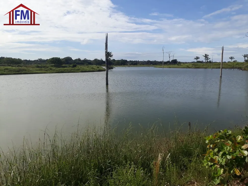 Fazenda - Foto 10