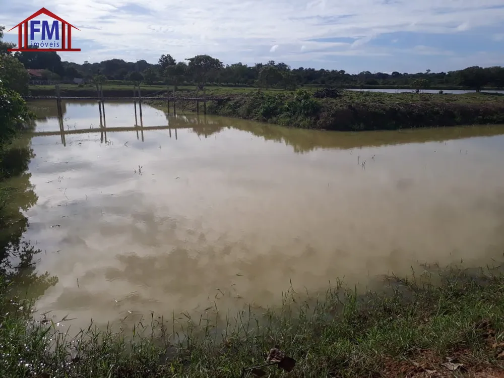 Fazenda - Foto 15
