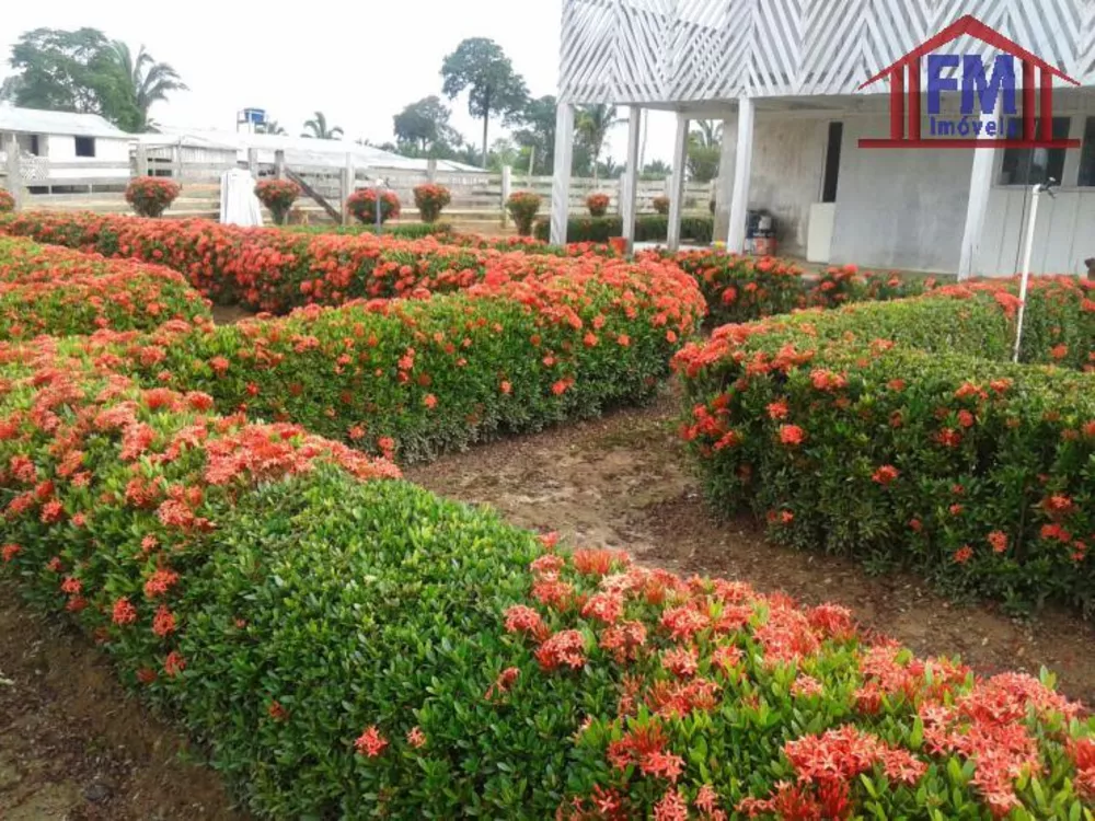 Fazenda à venda - Foto 8