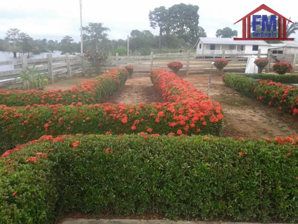 Fazenda à venda - Foto 7