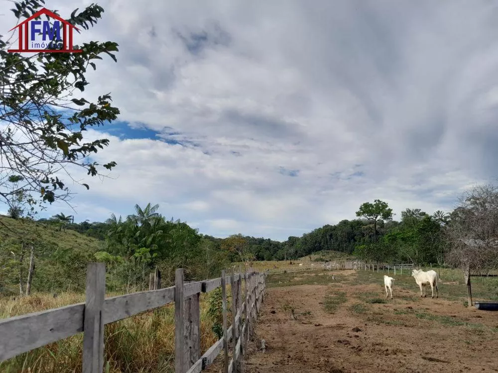 Fazenda à venda - Foto 4