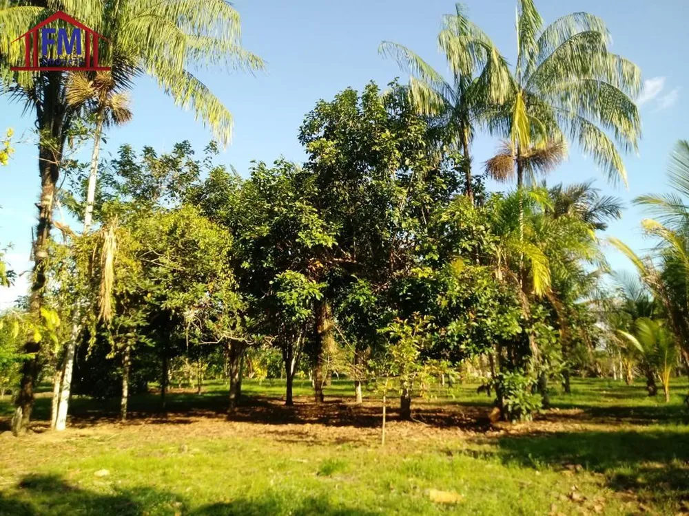 Fazenda - Foto 10