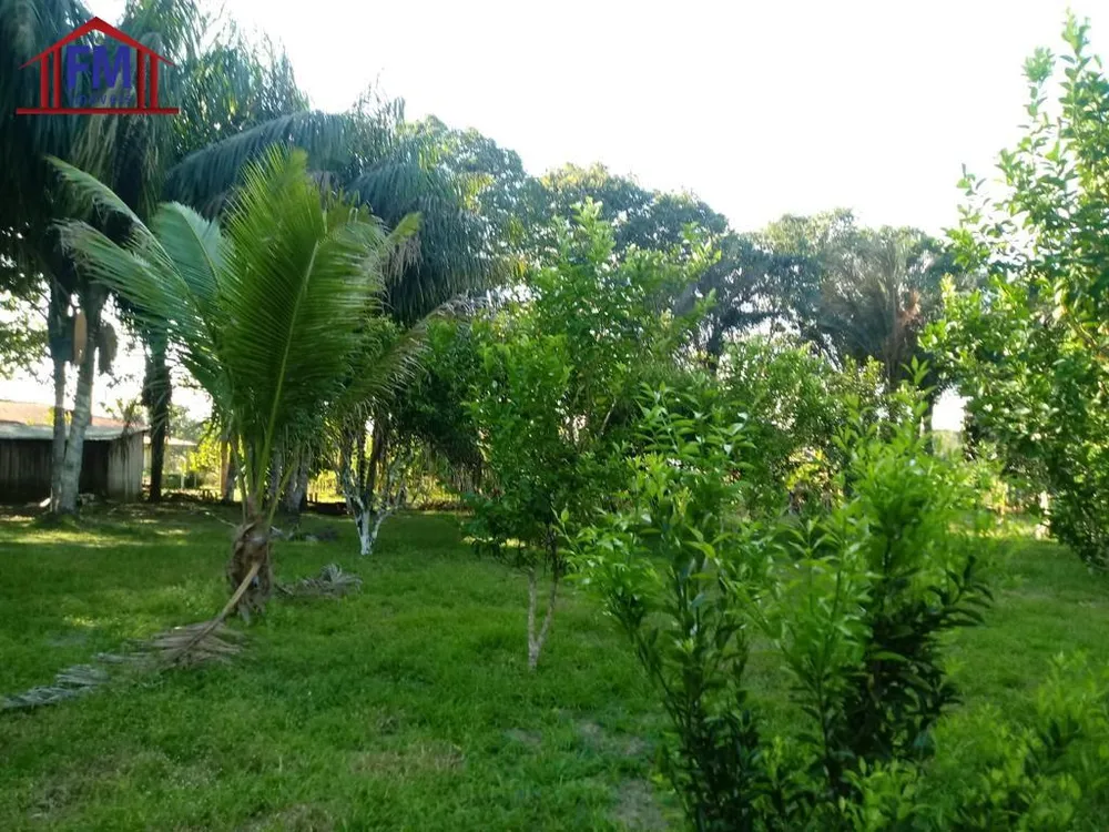 Fazenda - Foto 8