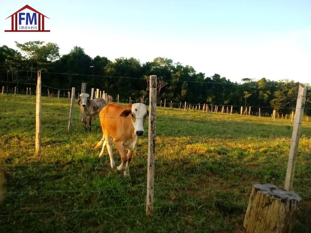 Fazenda - Foto 9