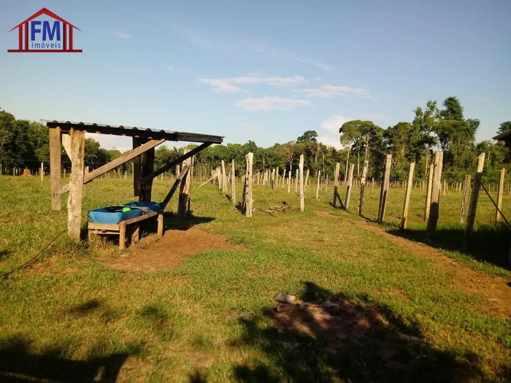 Fazenda - Foto 5