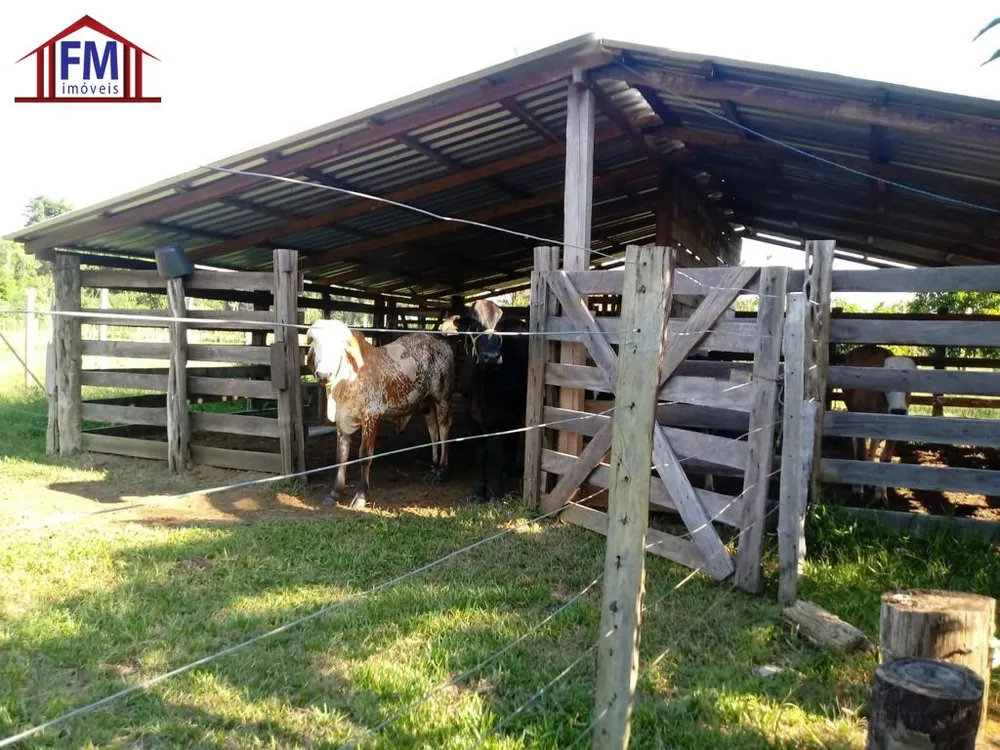 Fazenda - Foto 7