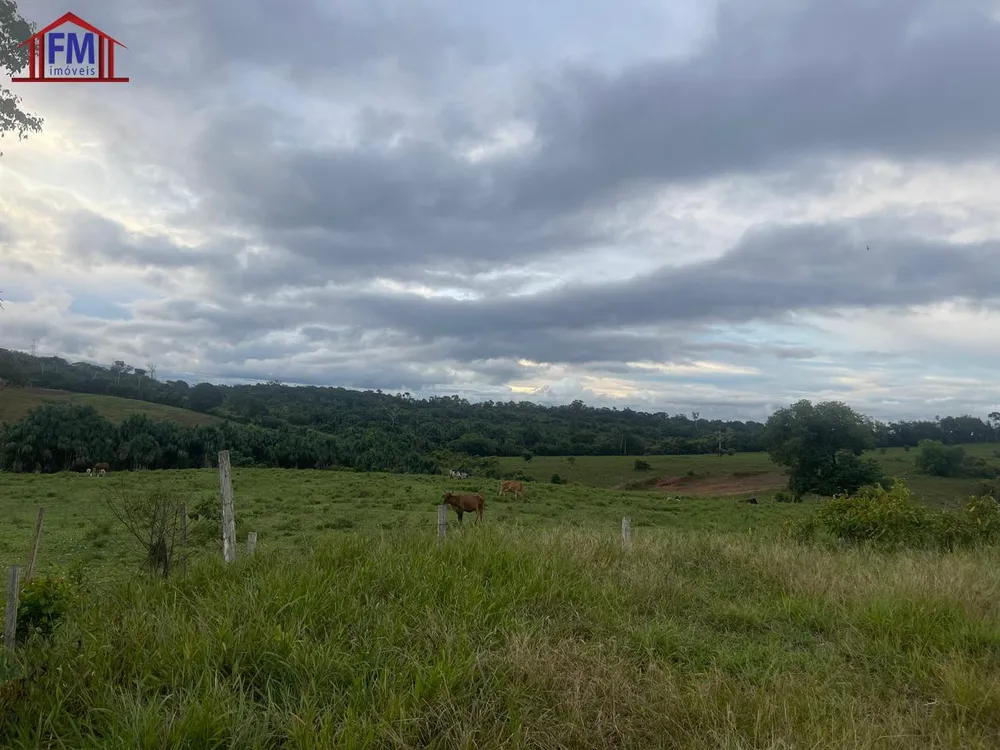 Fazenda - Foto 12