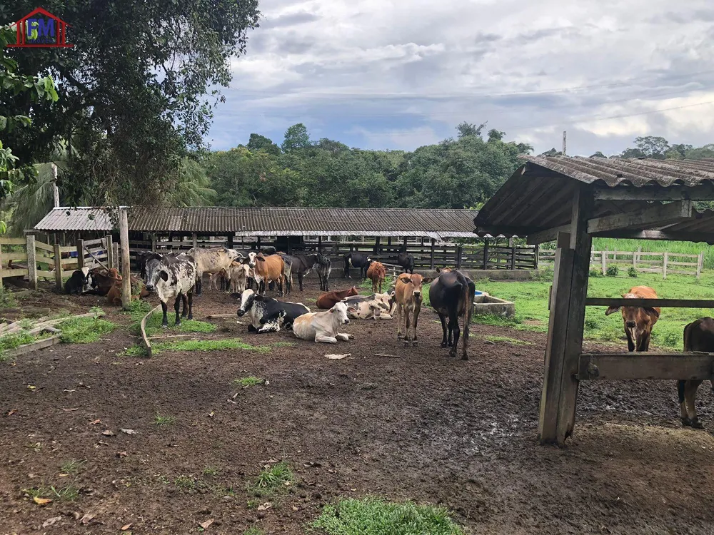 Fazenda - Foto 13