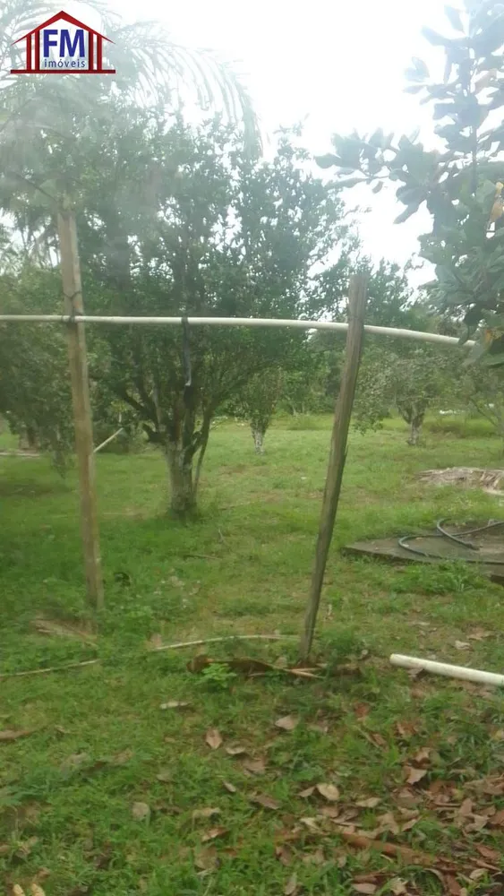 Sítio, 5 quartos - Foto 6