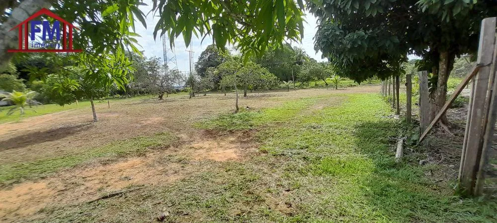 Sítio, 3 quartos - Foto 8