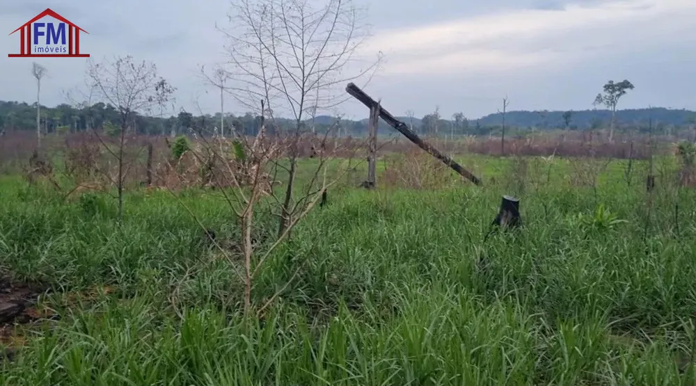 Fazenda - Foto 3